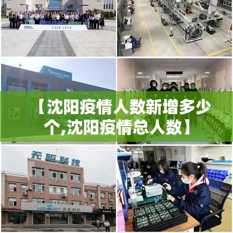 【沈阳疫情人数新增多少个,沈阳疫情总人数】