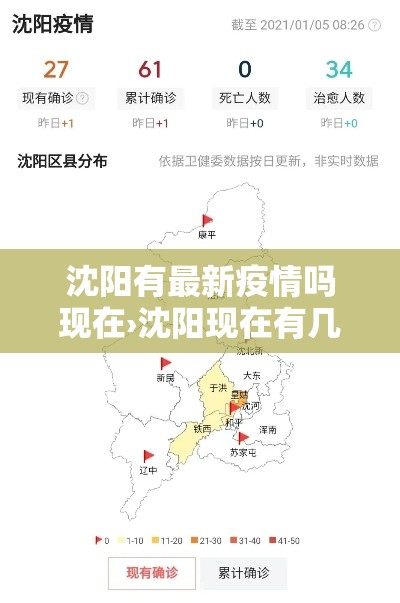 沈阳有最新疫情吗现在›沈阳现在有几例新型肺炎