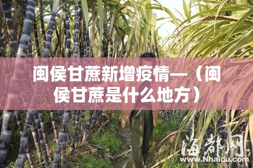 闽侯甘蔗新增疫情—（闽侯甘蔗是什么地方）