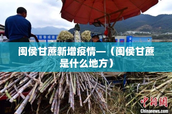 闽侯甘蔗新增疫情—（闽侯甘蔗是什么地方）