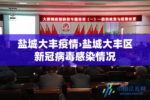 盐城大丰疫情›盐城大丰区新冠病毒感染情况
