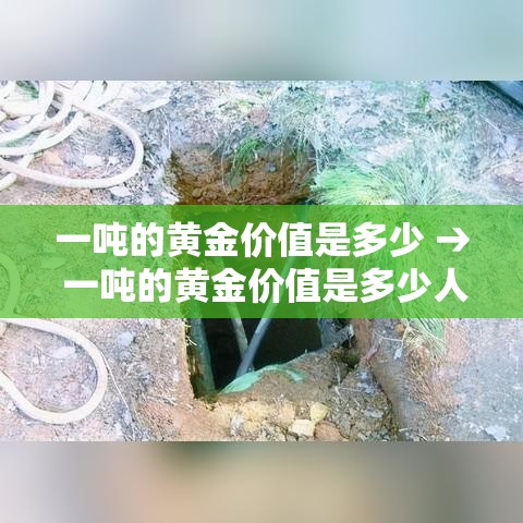 一吨的黄金价值是多少 → 一吨的黄金价值是多少人民币
