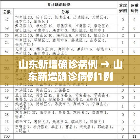 山东新增确诊病例 → 山东新增确诊病例1例