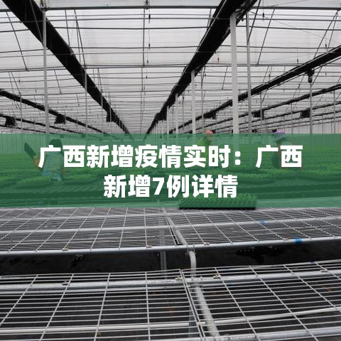 广西新增疫情实时：广西新增7例详情