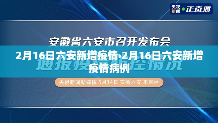 2月16日六安新增疫情›2月16日六安新增疫情病例 2月16日六安新增疫情›2月16日六安新增疫情病例