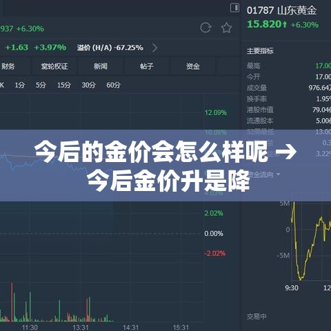 今后的金价会怎么样呢 → 今后金价升是降