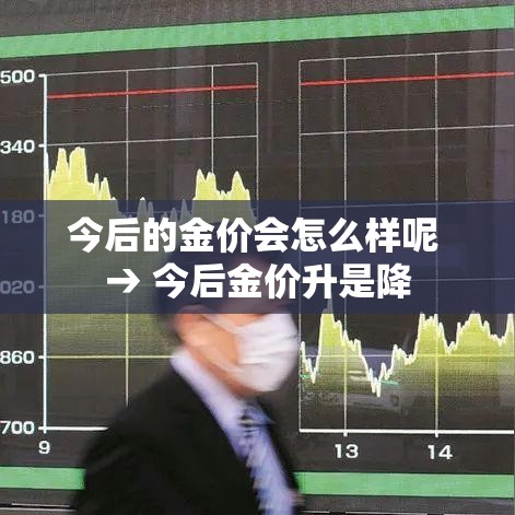 今后的金价会怎么样呢 → 今后金价升是降