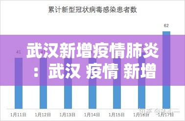 武汉新增疫情肺炎：武汉 疫情 新增