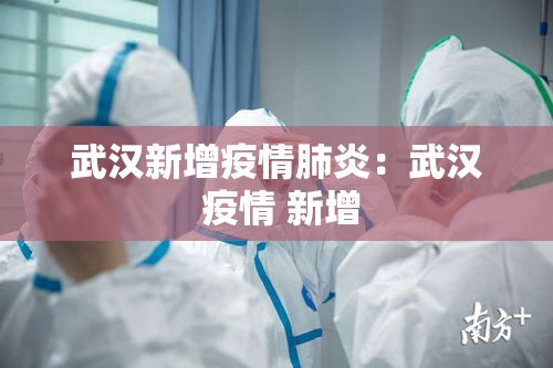 武汉新增疫情肺炎：武汉 疫情 新增