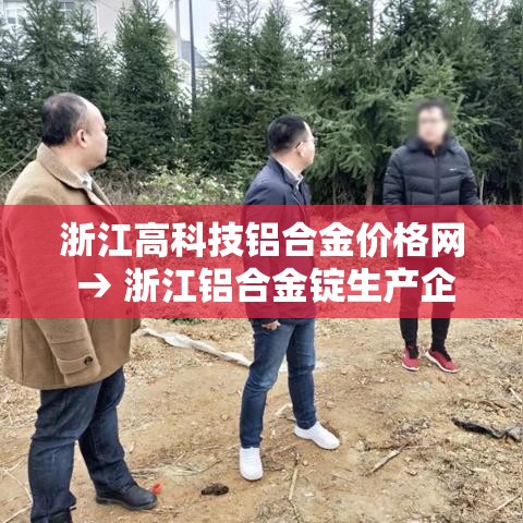浙江高科技铝合金价格网 → 浙江铝合金锭生产企业