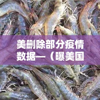 美删除部分疫情数据—(曝美国删除疫情数据) 美删除部分疫情数据—(曝美国删除疫情数据)