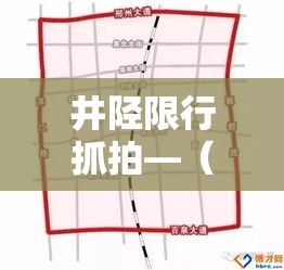 井陉限行抓拍—(井陉限行路段) 井陉限行抓拍—(井陉限行路段)