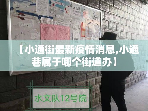 【小通街最新疫情消息,小通巷属于哪个街道办】