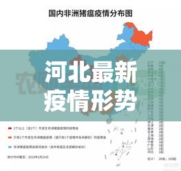 河北最新疫情形势图解—(河北最新疫情地图实时更新) 河北最新疫情形势图解—(河北最新疫情地图实时更新)