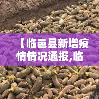 【临邑县新增疫情情况通报,临邑县最新疫情】