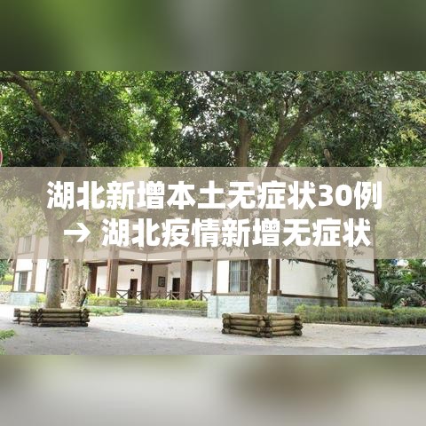 湖北新增本土无症状30例 → 湖北疫情新增无症状
