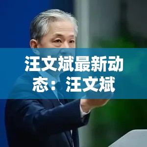 汪文斌最新动态:汪文斌最新动态视频 汪文斌最新动态:汪文斌最新动态视频