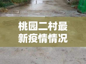 桃园二村最新疫情情况:桃园村二期 桃园二村最新疫情情况:桃园村二期