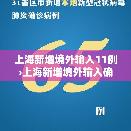 上海新增境外输入11例›上海新增境外输入确诊2例