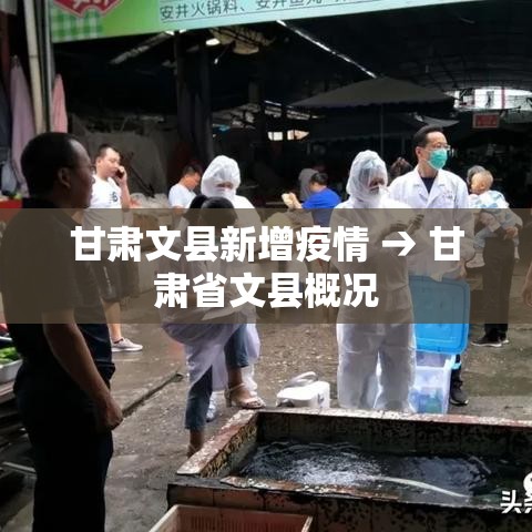 甘肃文县新增疫情 → 甘肃省文县概况 甘肃文县新增疫情 → 甘肃省文县概况