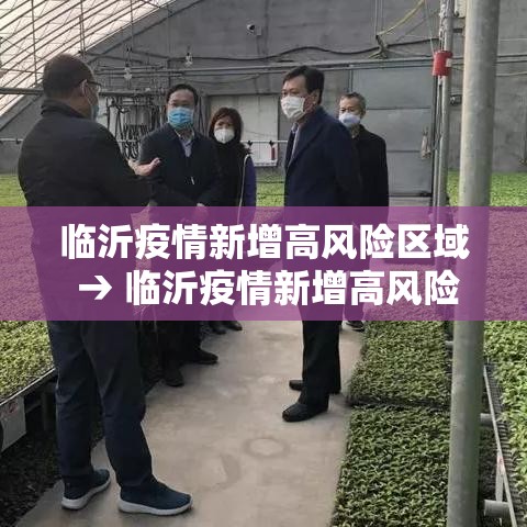 临沂疫情新增高风险区域 → 临沂疫情新增高风险区域查询