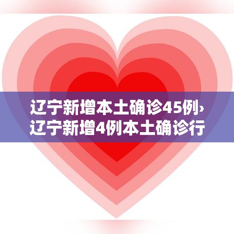 辽宁新增本土确诊45例›辽宁新增4例本土确诊行程
