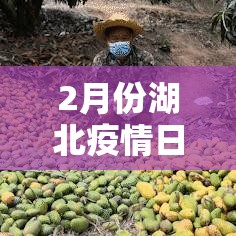 2月份湖北疫情日新增图—(湖北疫情2月份折线图) 2月份湖北疫情日新增图—(湖北疫情2月份折线图)