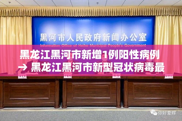 黑龙江黑河市新增1例阳性病例 → 黑龙江黑河市新型冠状病毒最新消息 黑龙江黑河市新增1例阳性病例 → 黑龙江黑河市新型冠状病毒最新消息