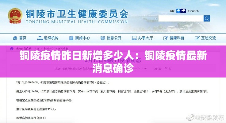 铜陵疫情昨日新增多少人:铜陵疫情最新消息确诊 铜陵疫情昨日新增多少人:铜陵疫情最新消息确诊