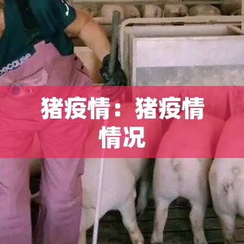猪疫情:猪疫情情况 猪疫情:猪疫情情况