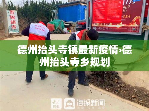 德州抬头寺镇最新疫情›德州抬头寺乡规划