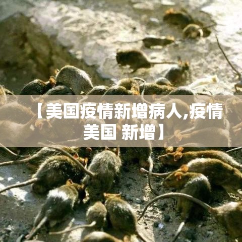【美国疫情新增病人,疫情 美国 新增】 【美国疫情新增病人,疫情 美国 新增】