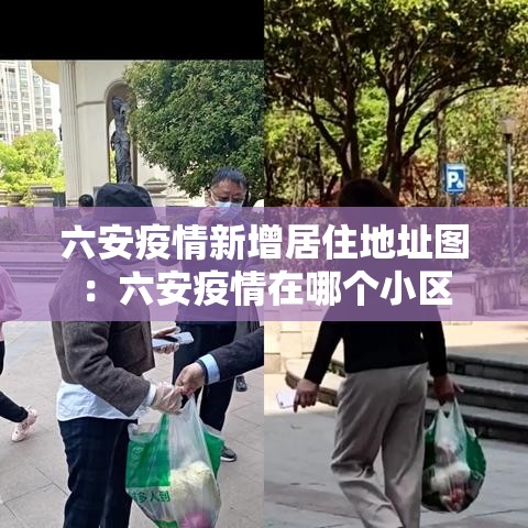 六安疫情新增居住地址图：六安疫情在哪个小区