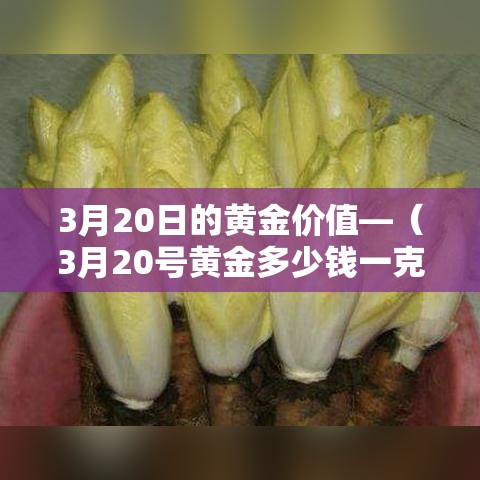 3月20日的黄金价值—(3月20号黄金多少钱一克) 3月20日的黄金价值—(3月20号黄金多少钱一克)