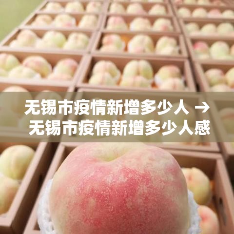 无锡市疫情新增多少人 → 无锡市疫情新增多少人感染 无锡市疫情新增多少人 → 无锡市疫情新增多少人感染