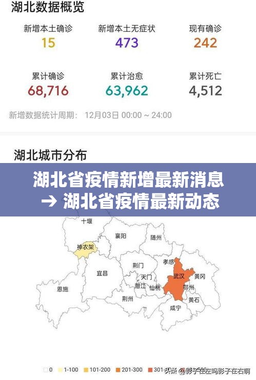 湖北省疫情新增最新消息 → 湖北省疫情最新动态