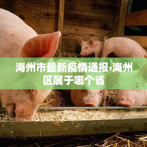 海州市最新疫情通报›海州区属于哪个省 海州市最新疫情通报›海州区属于哪个省