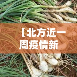 【北方近一周疫情新增人数,北方疫情又爆发】 【北方近一周疫情新增人数,北方疫情又爆发】