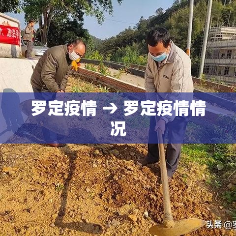 罗定疫情 → 罗定疫情情况 罗定疫情 → 罗定疫情情况