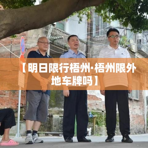 【明日限行梧州·梧州限外地车牌吗】 【明日限行梧州·梧州限外地车牌吗】