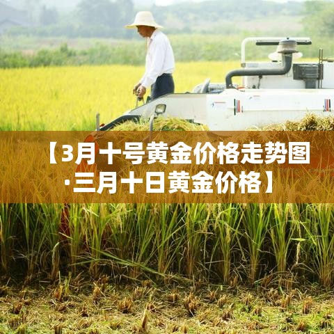 【3月十号黄金价格走势图·三月十日黄金价格】 【3月十号黄金价格走势图·三月十日黄金价格】