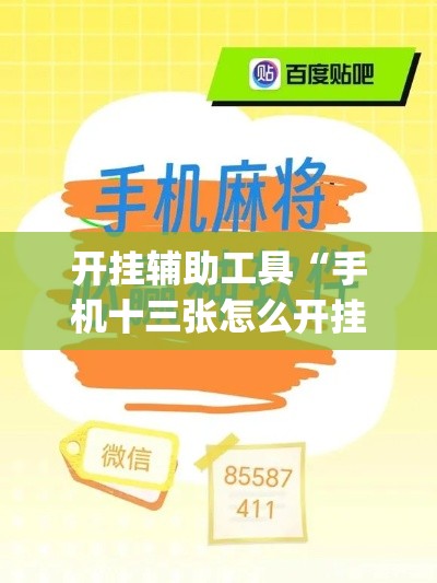 开挂辅助工具“手机十三张怎么开挂	”专业师傅带你一起了解(确实有挂
