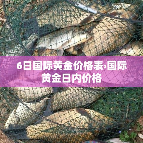 6日国际黄金价格表›国际黄金日内价格 6日国际黄金价格表›国际黄金日内价格