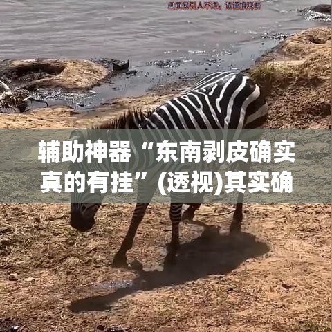 辅助神器“东南剥皮确实真的有挂	”(透视)其实确实有挂