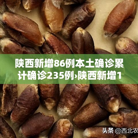 陕西新增86例本土确诊累计确诊235例›陕西新增1例本土确诊病例具体情况 陕西新增86例本土确诊累计确诊235例›陕西新增1例本土确诊病例具体情况