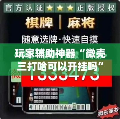 玩家辅助神器“微壳三打哈可以开挂吗	”(透视)其实确实有挂