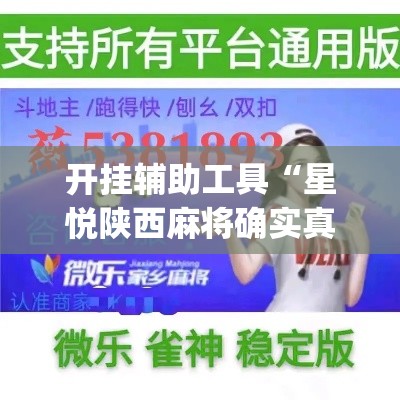 开挂辅助工具“星悦陕西麻将确实真的有挂	”专业师傅带你一起了解(确实有挂
