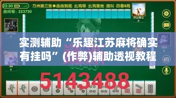 实测辅助“乐趣江苏麻将确实有挂吗	”(作弊)辅助透视教程