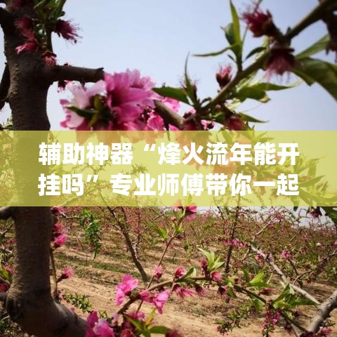 辅助神器“烽火流年能开挂吗”专业师傅带你一起了解(确实有挂