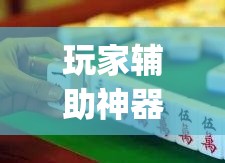 玩家辅助神器“微乐福建麻将怎么打才会赢	”(作弊)辅助透视教程